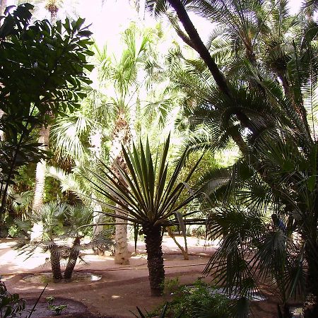 Appart Avec Vue Jardin/Majorelle Marrakesh Luaran gambar