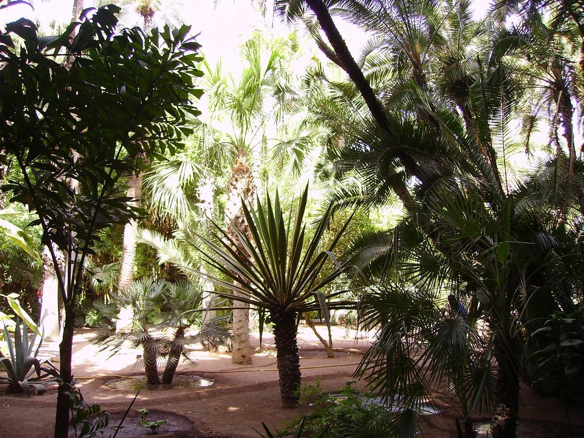 Appart Avec Vue Jardin/Majorelle Marrakesh Luaran gambar